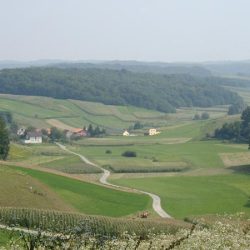 Zaseok naselja Breznica