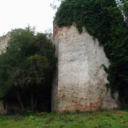 Ruševine kule dvorca