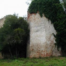 Ruševine kule dvorca